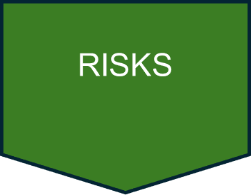 RISKS.png